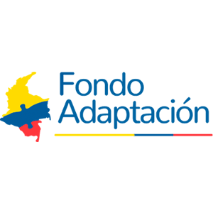 F. de ADAPTACIÓN
